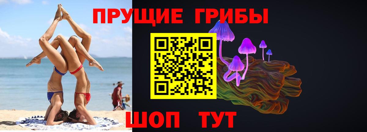 Галлюциногенные грибы MAGIC MUSHROOMS  закладка  Новозыбков  Вход с VPN 
