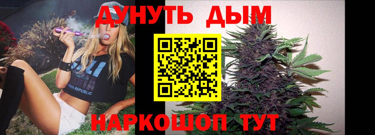 Новозыбков  Бошки марихуана тримм  Канабис сатива  Вход с VPN 