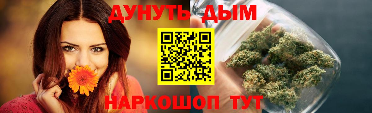 Бошки Шишки семена Новозыбков